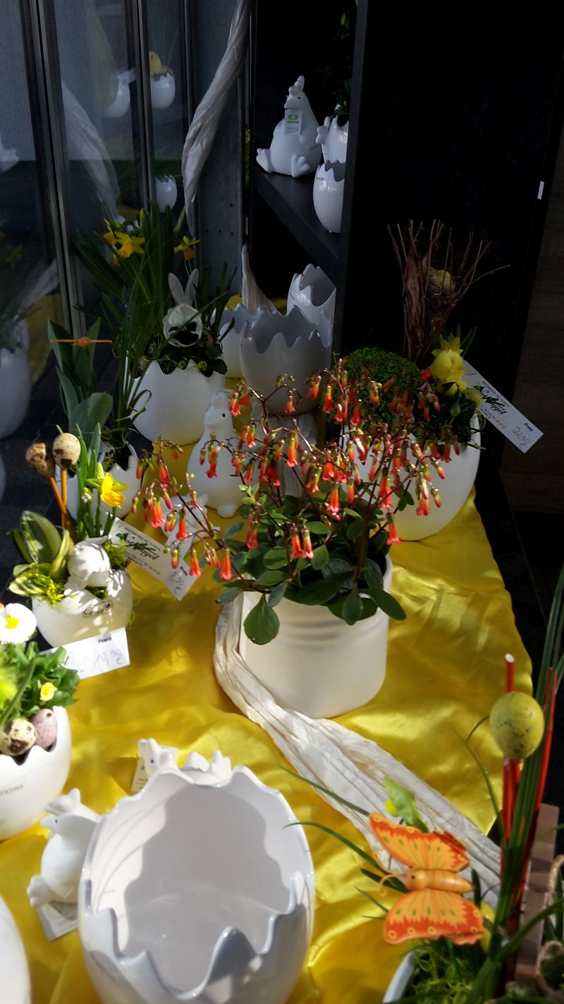 gaertnerei-nothnagel-fruehling-2018-118.jpg