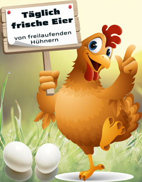 täglich frische Eier von freilaufenden Hühnern