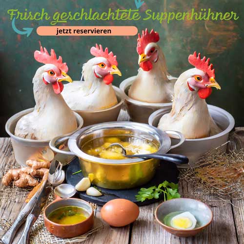 Suppenhühner, frisch geschlachtet ab dem 06.04.2024 - in der Gärtnerei Nothnagel, Griesheim